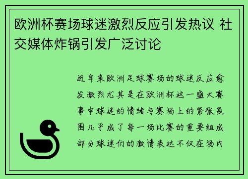 欧洲杯赛场球迷激烈反应引发热议 社交媒体炸锅引发广泛讨论
