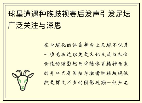 球星遭遇种族歧视赛后发声引发足坛广泛关注与深思 球星遭遇种族歧视赛后发声引发足坛广泛关注与深思