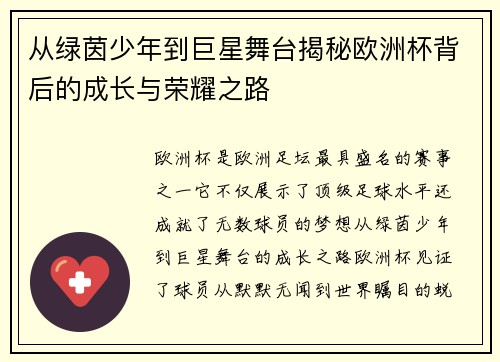 从绿茵少年到巨星舞台揭秘欧洲杯背后的成长与荣耀之路
